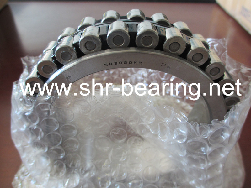 NSK spindle roller bearing double row nylon cage NN3020TBKRCC0P4 