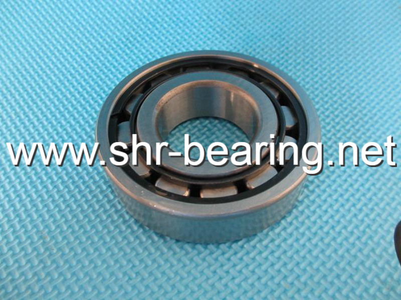 Rexnord Link-Belt  BS226539V Bearing 